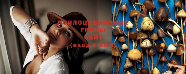 Альфа ПВП Беломорск