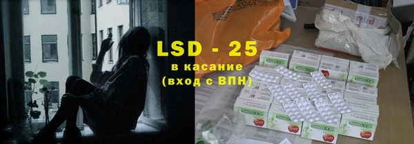 крисы Сатка