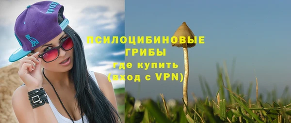 эйфоретик Белоозёрский