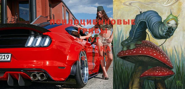 дмт Белокуриха