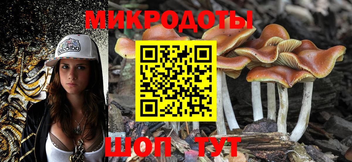 Псилоцибиновые грибы MAGIC MUSHROOMS Печора