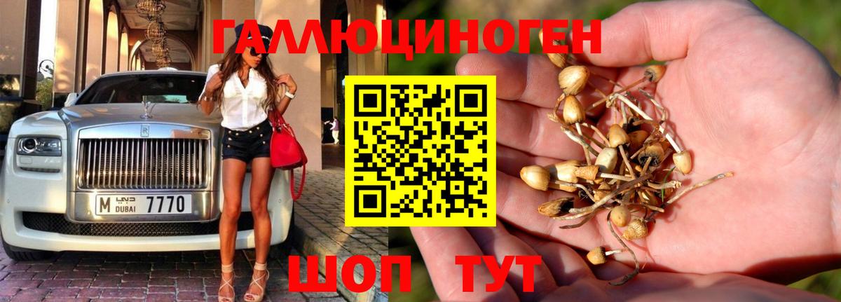 купить   Вход с VPN  Печора  Галлюциногенные грибы Magic Shrooms 